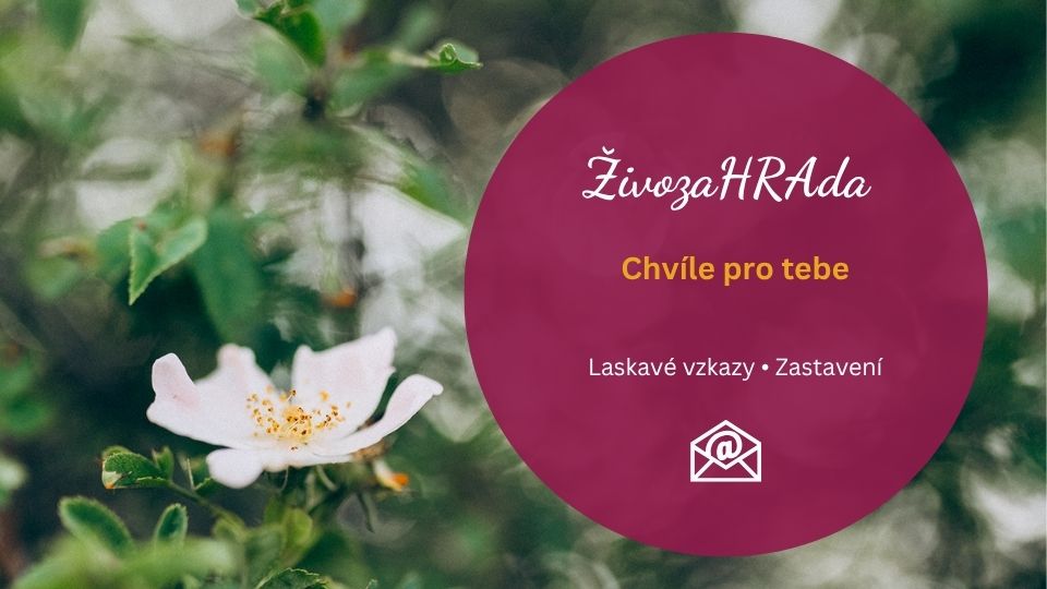 Chvíle pro tebe